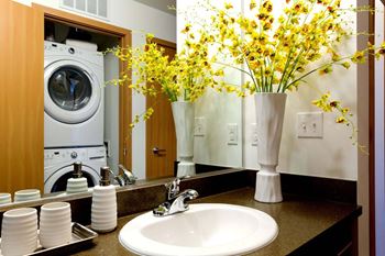 Wash Basin & Washer Dryer Includes at Tivalli Apartments, Washington, 98087